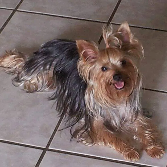 Fall River Animal Hospital Picture 8