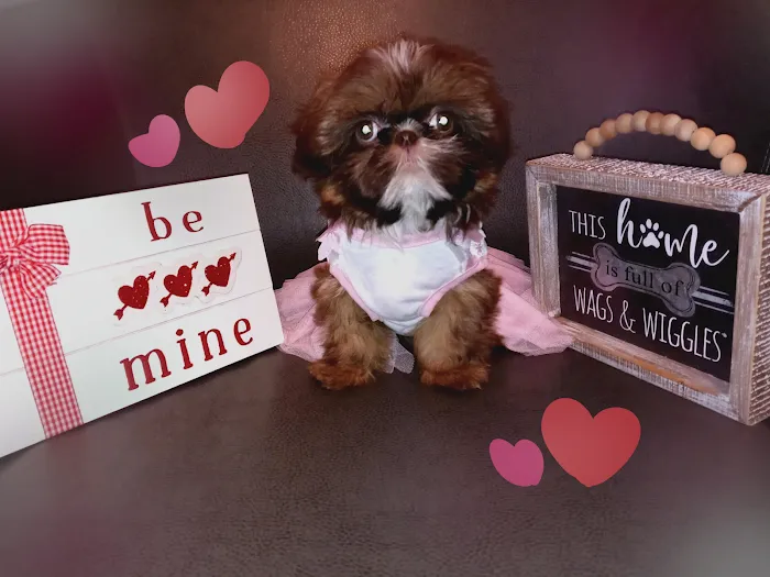 Fall River Animal Hospital Picture 9