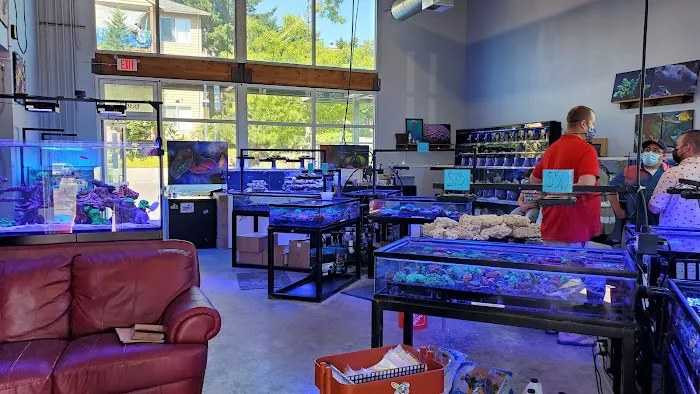 Cuttle Fish and Corals Picture 3