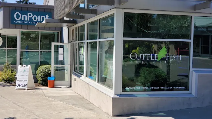 Cuttle Fish and Corals Picture 1