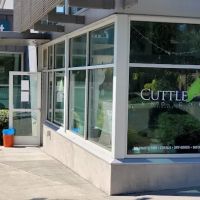 Cuttle Fish and Corals ico