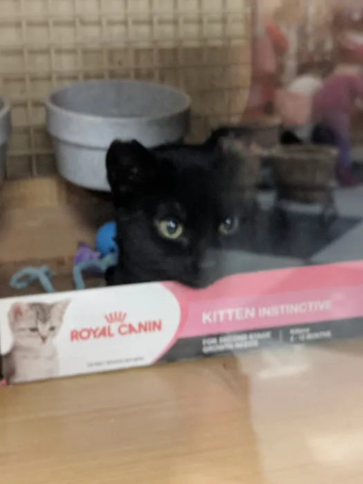 Petco Picture 8