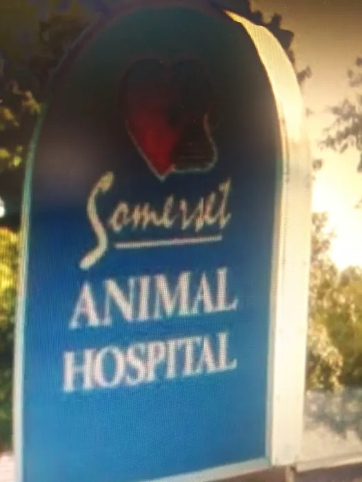 Somerset Vet clinic Picture 1