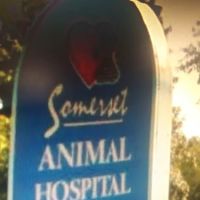 Somerset Vet clinic ico