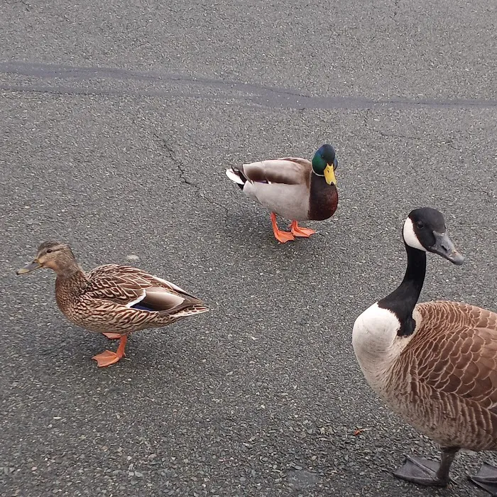 Somerset Animal Hospital Picture 6