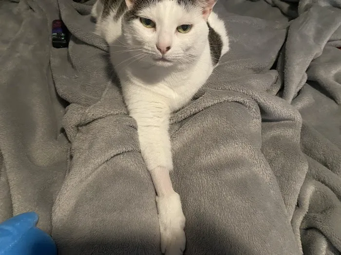 Somerset Animal Hospital Picture 1