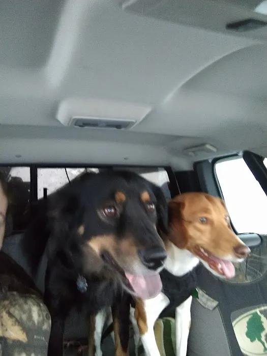 Somerset Animal Hospital Picture 3