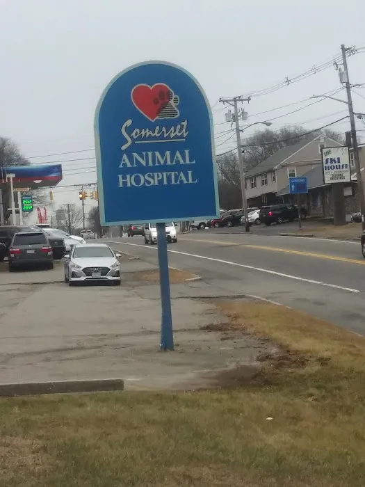 Somerset Animal Hospital Picture 7