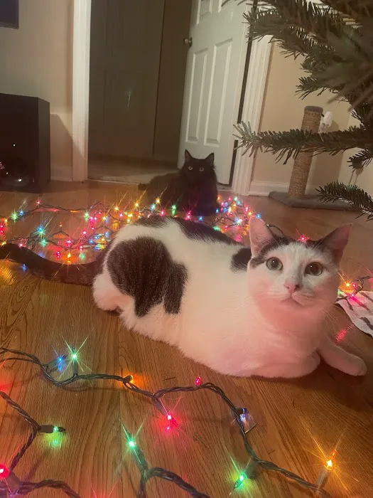 Somerset Animal Hospital Picture 5