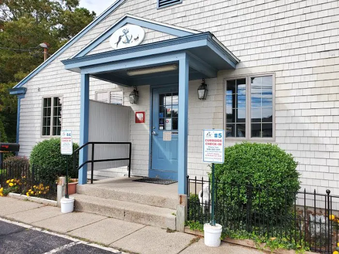Anchor Animal Hospital Picture 7