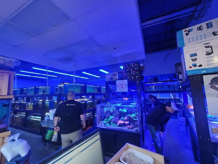 All Things Aquariums Picture 7