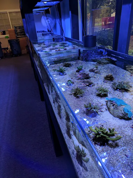 All Things Aquariums Picture 2