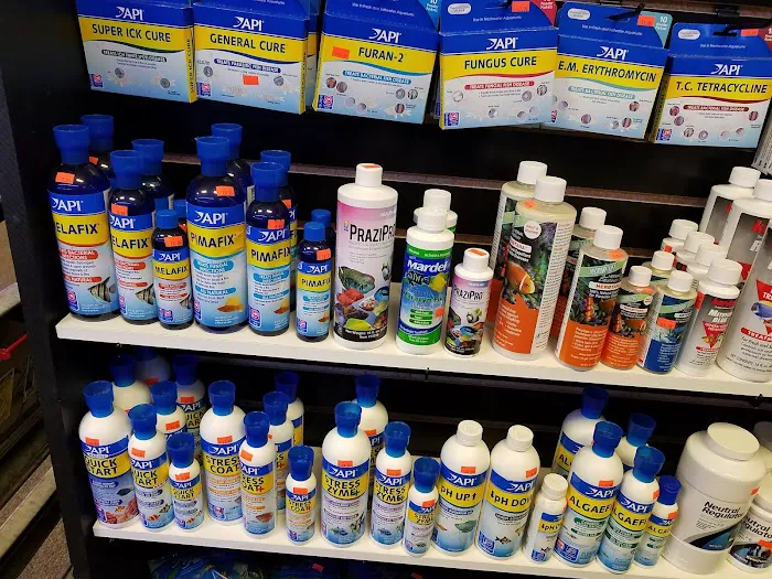 All Things Aquariums Picture 6