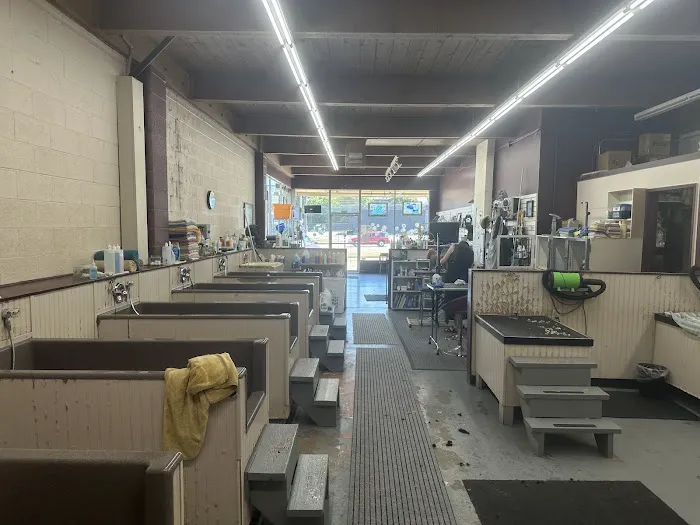 Paws n Milwaukie Picture 9