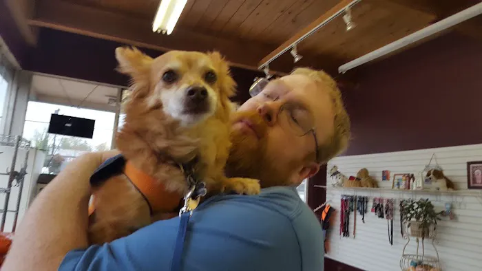 Paws n Milwaukie Picture 8