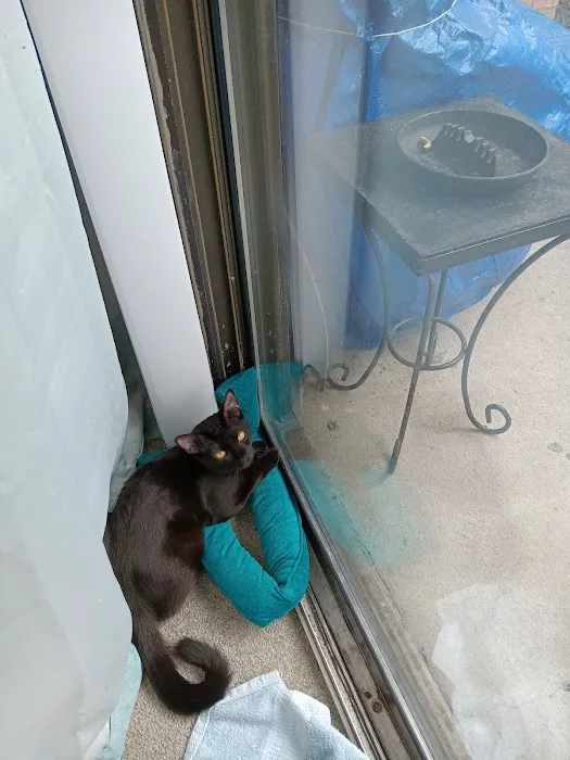 Animal Associates Picture 7