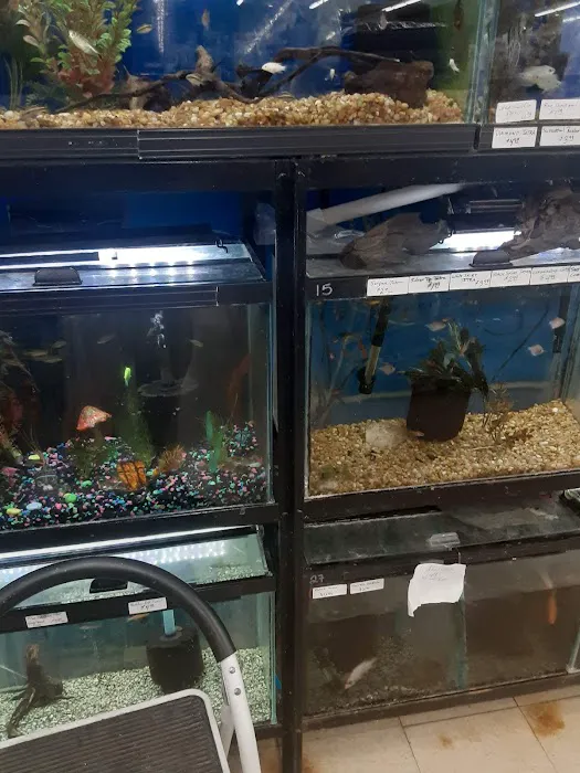 Creature Comforts Pet Supplies Picture 1