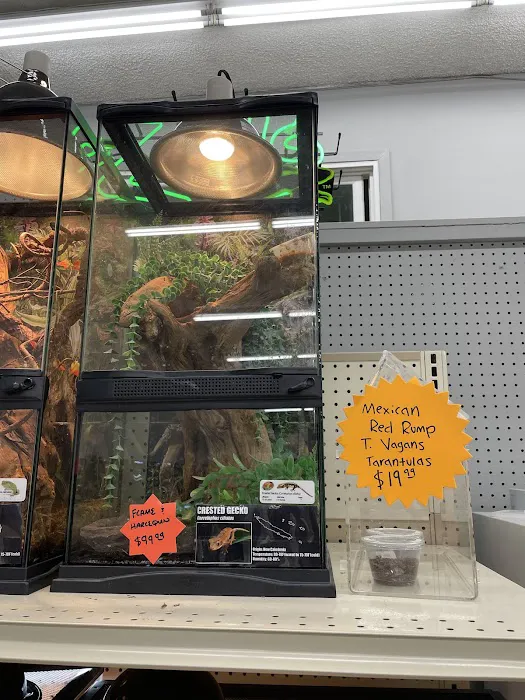 Creature Comforts Pet Supplies Picture 5