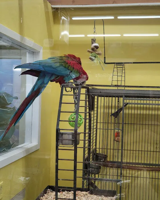 Creature Comforts Pet Supplies Picture 6