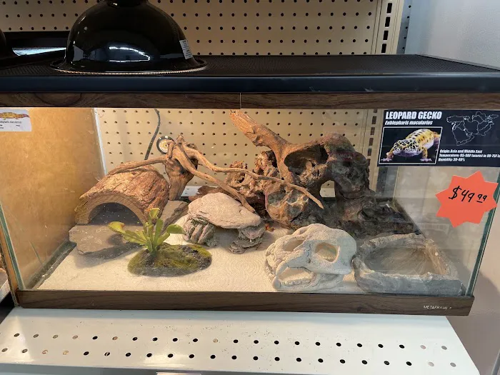 Creature Comforts Pet Supplies Picture 7