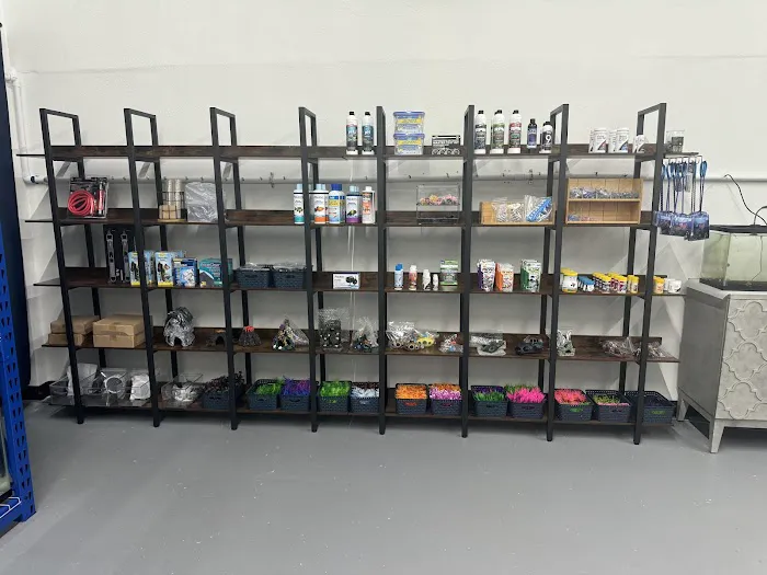 The Purple Tang Picture 9