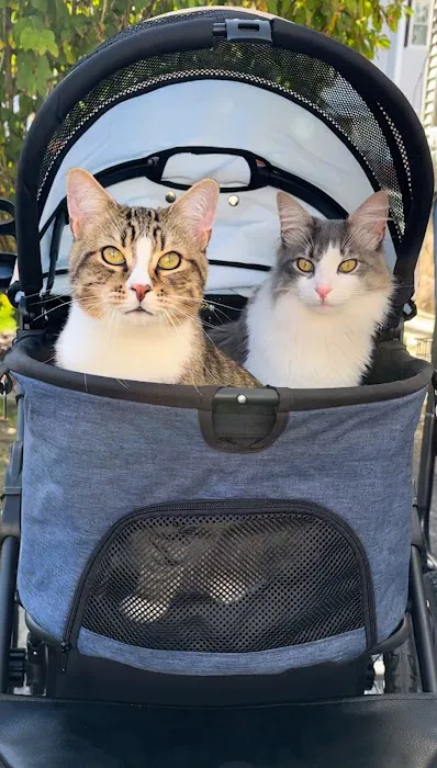 Dagenais Veterinary Clinic Picture 8