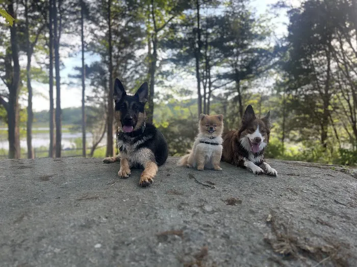 Dagenais Veterinary Clinic Picture 7