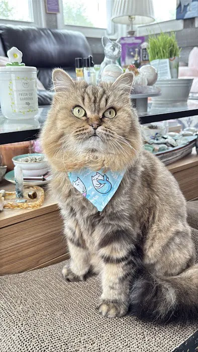 Dagenais Veterinary Clinic Picture 3