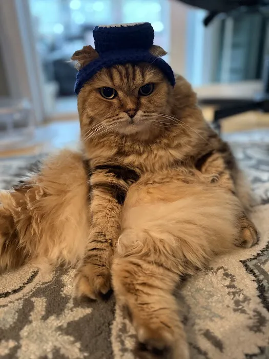 Dagenais Veterinary Clinic Picture 2