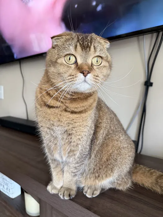 Dagenais Veterinary Clinic Picture 4