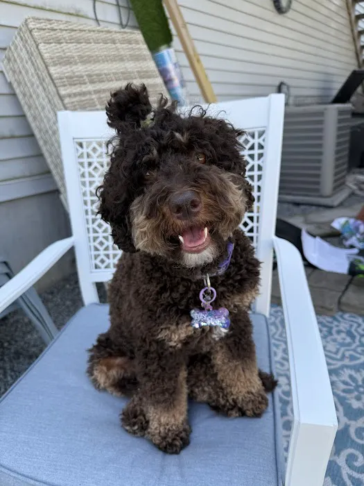 Dagenais Veterinary Clinic Picture 10