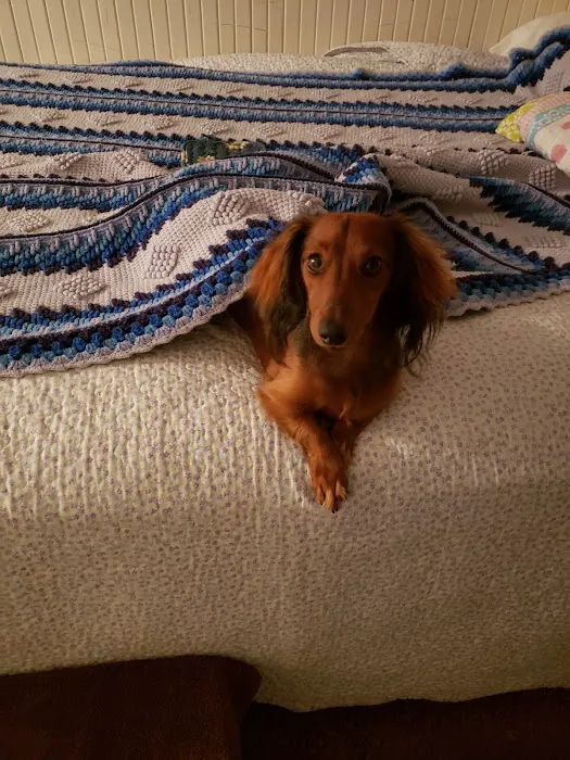 Chase Farm Veterinary Hospital Picture 5