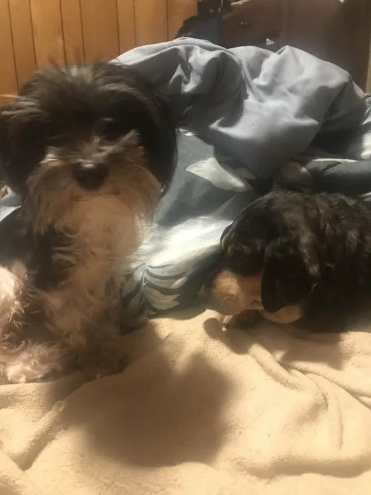 Chase Farm Veterinary Hospital Picture 1