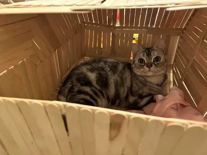 Chase Farm Veterinary Hospital Picture 6