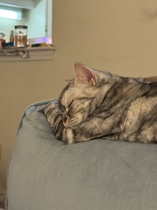 Chase Farm Veterinary Hospital Picture 4