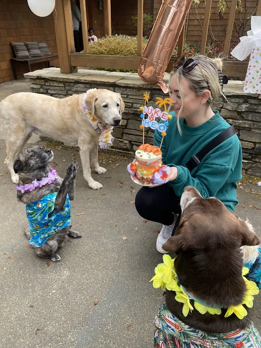 Hip Hound Barkery Picture 1