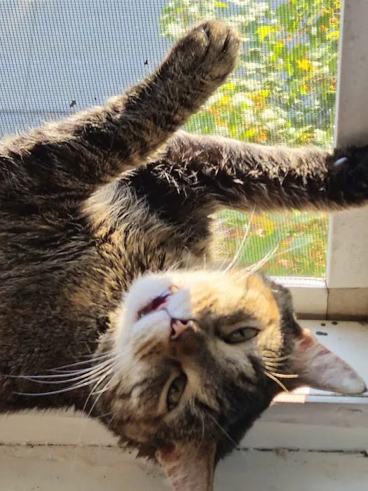 TLC Veterinary Hospital Picture 1