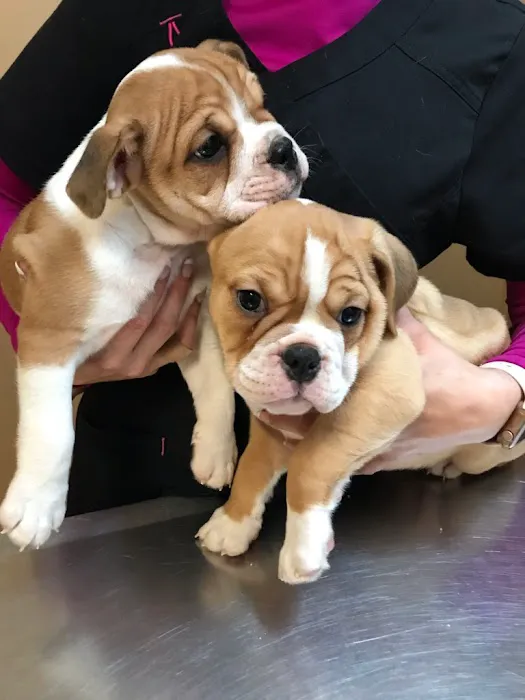 TLC Veterinary Hospital Picture 8