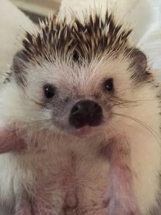 TLC Veterinary Hospital Picture 9