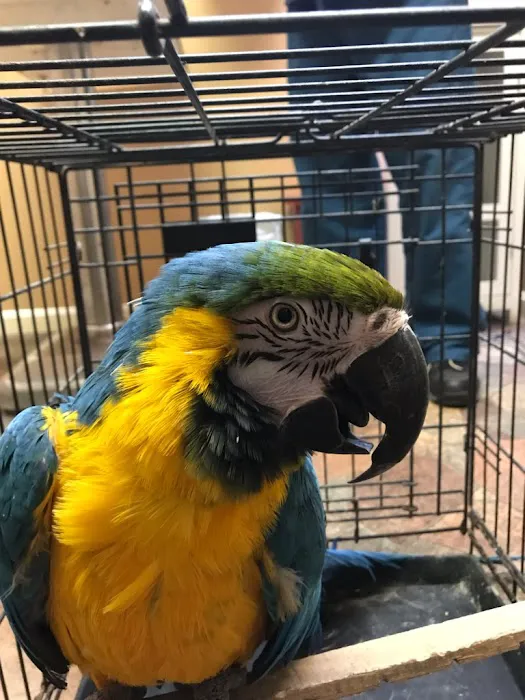 TLC Veterinary Hospital Picture 4