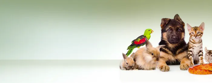 TLC Veterinary Hospital Picture 3