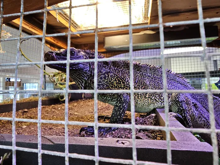 Fishys & Friends Picture 8