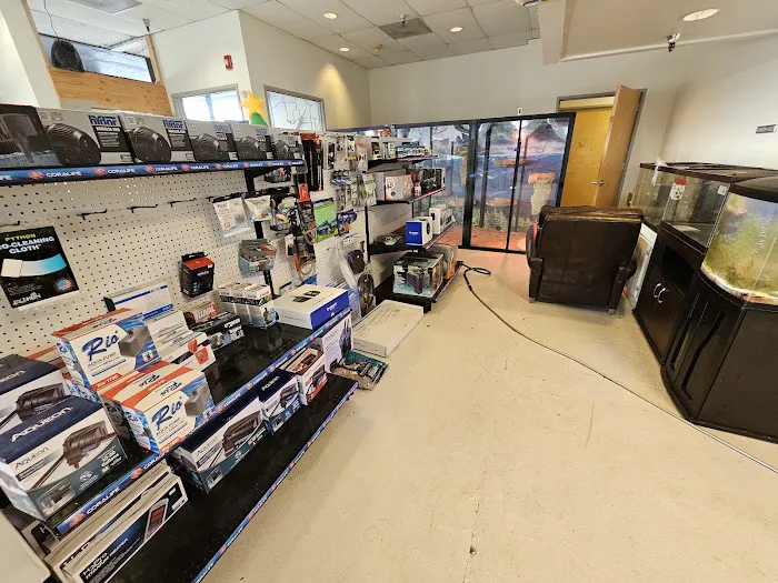 Fishys & Friends Picture 1