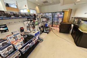 Auto Service Center