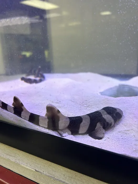 Fishys & Friends Picture 10