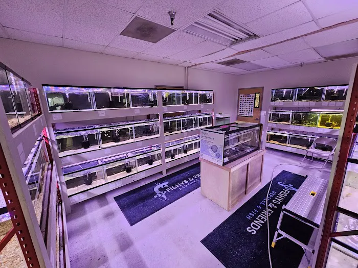 Fishys & Friends Picture 3