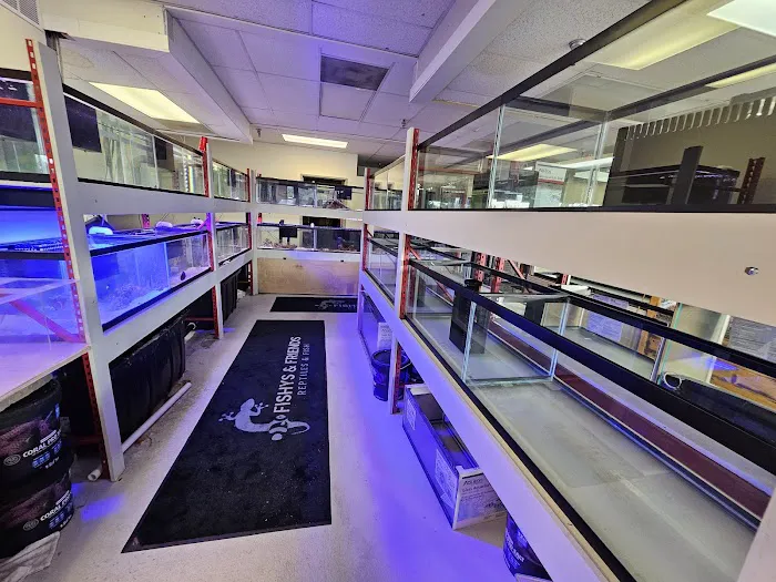 Fishys & Friends Picture 2