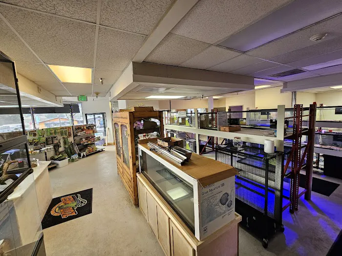 Fishys & Friends Picture 7