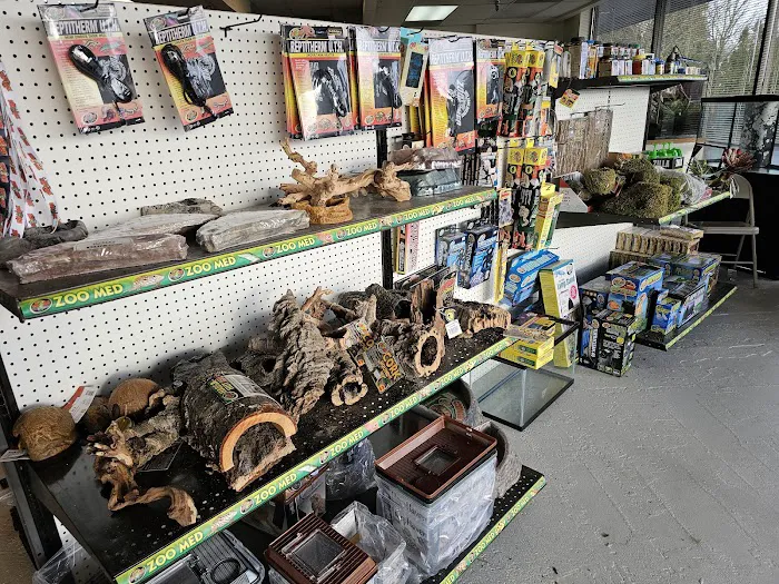 Fishys & Friends Picture 4