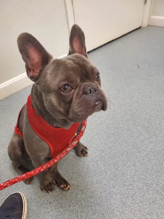 Central Avenue Veterinary Clinic Picture 3